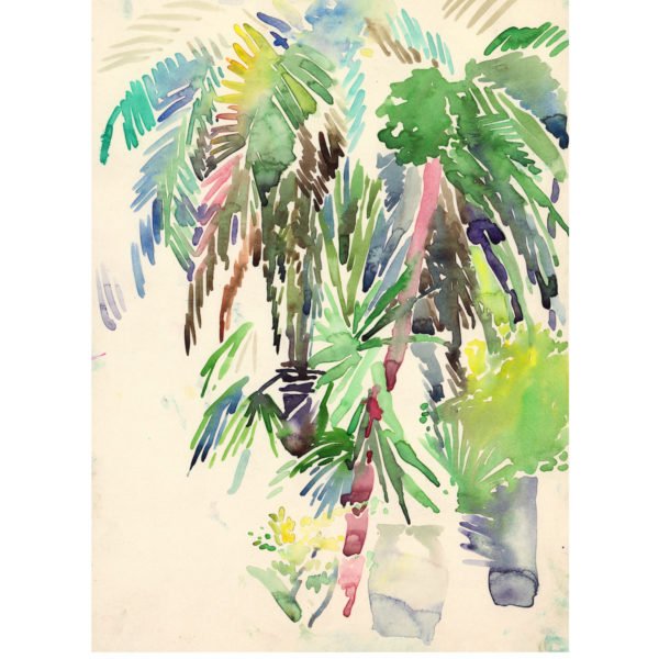 Palm Sketch Granada