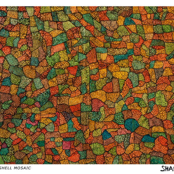 Eggshell Mosaic
